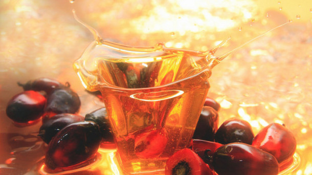 "With correct measurements, the result is clear: palm oil is currently subject to discriminatory tax in France compared to olive, rapeseed, and sunflower oil," says economist Pierre Garello. © iStock / Taffpix