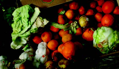 food_waste